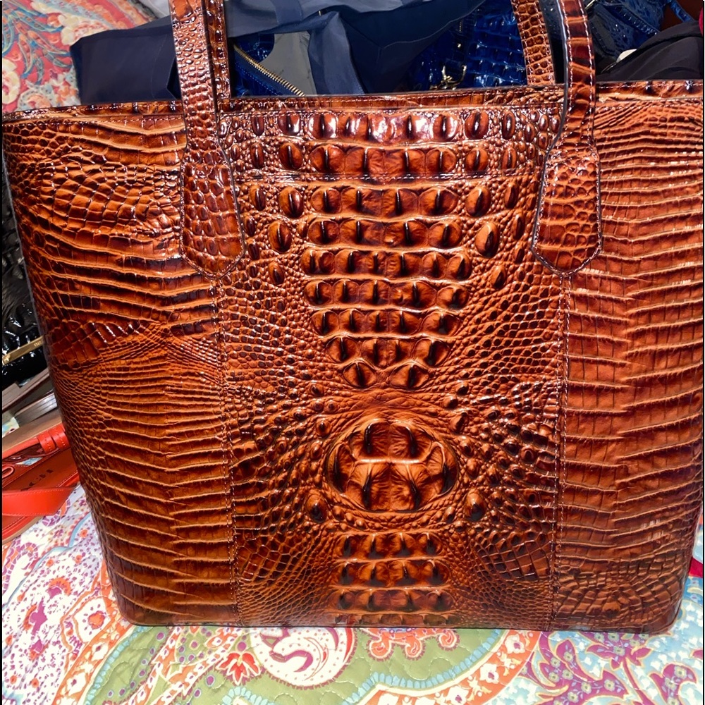 Brahmin Misha Large